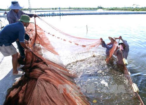 Vốn chính sách đồng hành với bà con nghèo 